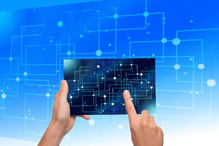 开云体育备用-中国篮球教练员执教能力提升路径研究，中国篮球教练员岗位培训a级教程书籍